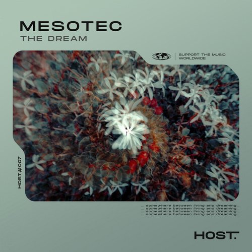 Mesotec - The Dream [HOST007]